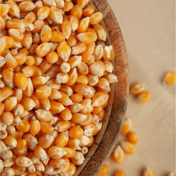 PATLAYAN MISIR 500GR
